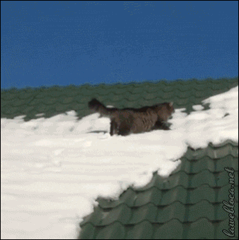 p18rlpai6hjcv1ru2s72g14it2.gif