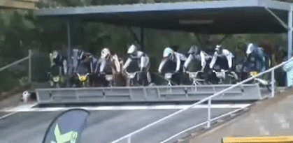 p18sfnqr10lp1jt3ugdds1e2a1