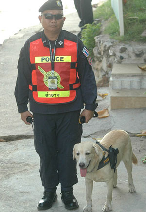 Tayland polis köpeği